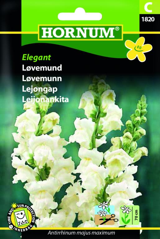 Løvemund, Elegant