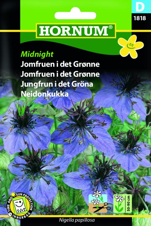 Jomfruen i det Grønne, Midnight