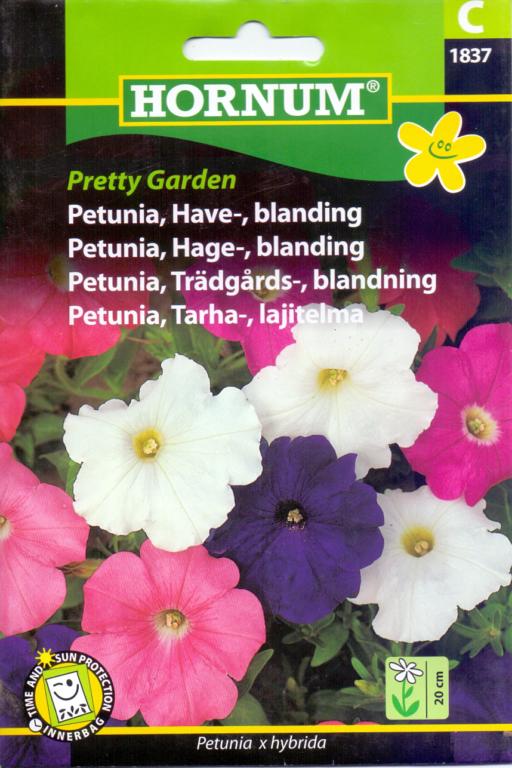 Petunia, Havepetunia, blanding, Pretty G