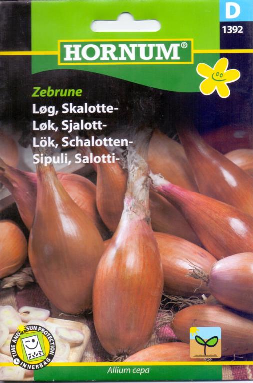 Løg, Skalotteløg, Zebrune