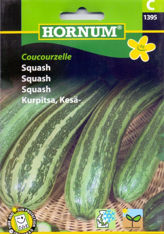 Squash, Coucourzelle