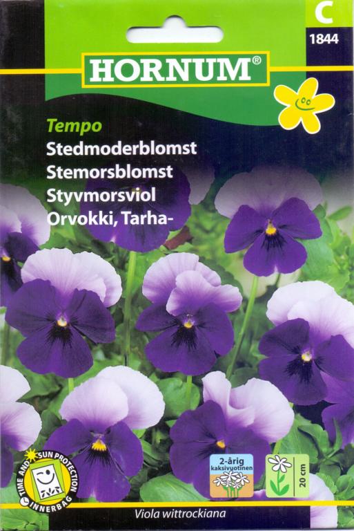 Stedmoderblomst, Tempo