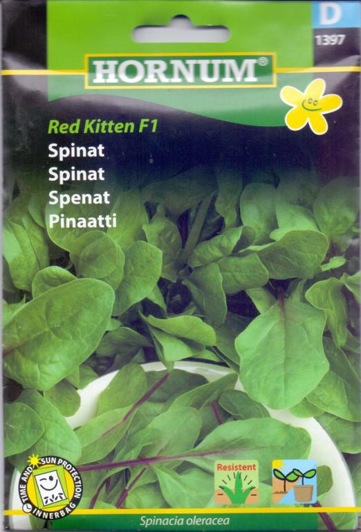 Spinat, Red Kitten F1