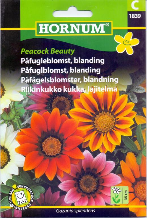 Påfugleblomst, blanding, Peacock Beauty