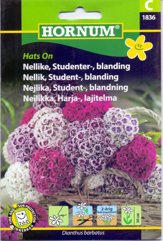 Nellike, Studenternellike, blanding, Hat