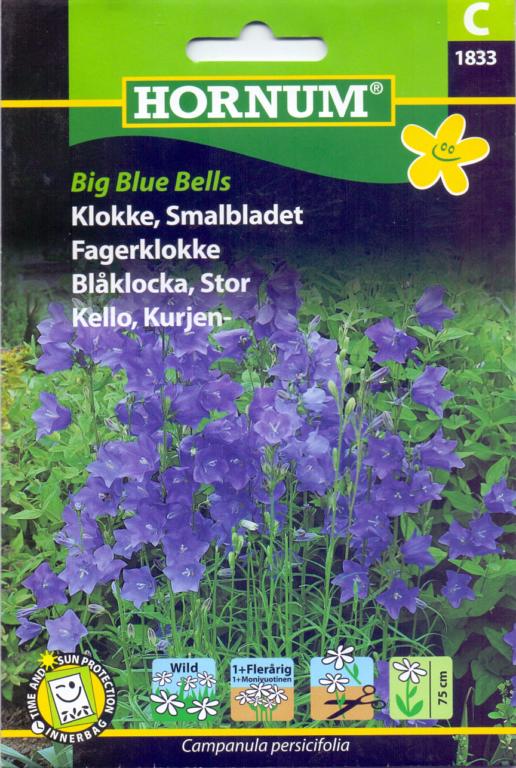 Klokke, Smalbladet, Big Blue Bells
