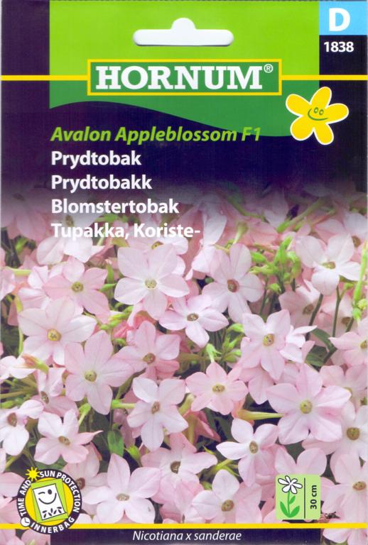 Prydtobak, Avalon Appleblossom F1