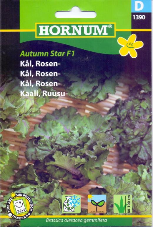 Kål, Rosenkål, Autumn Star F1