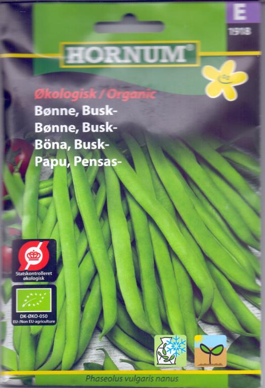 ØKO, Bønne, Buskbønne Maxi
