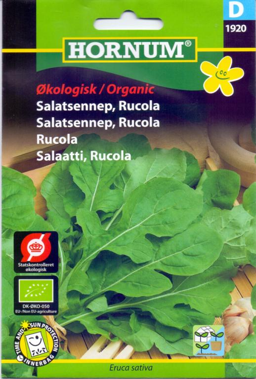 Økologisk Salatsennep, Rucola,