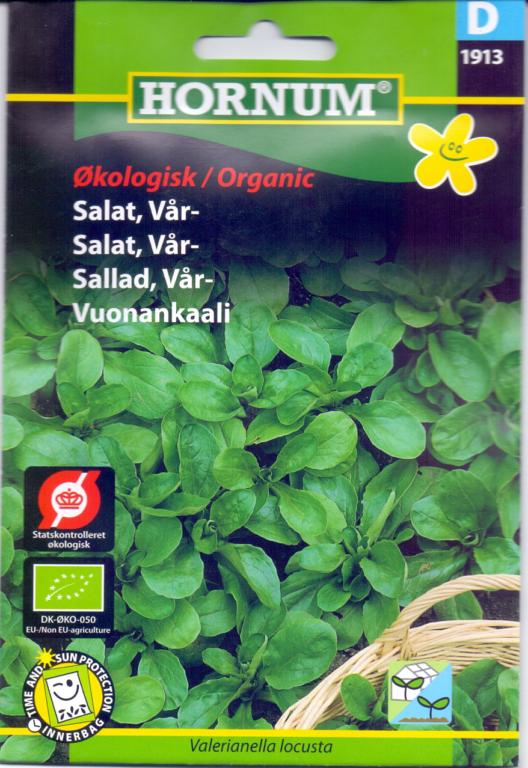 ØKO, Salat, Vårsalat, Vit