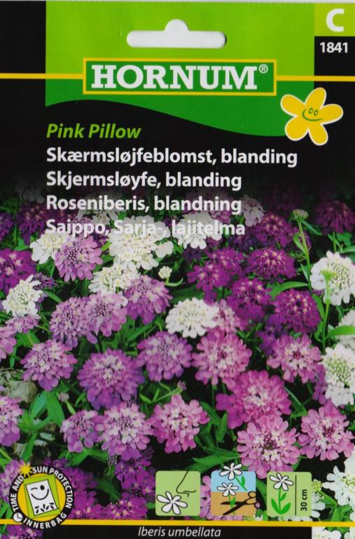 Skærmsløjfeblomst, blanding, Pink Pillow