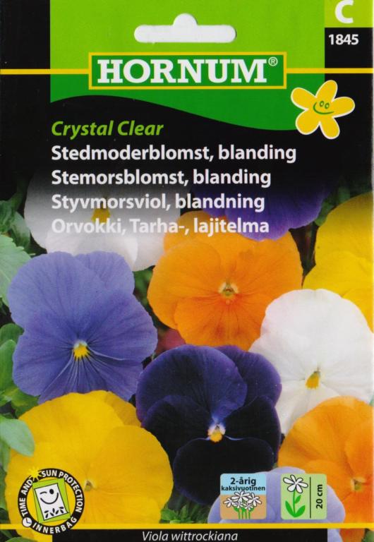 Stedmoderblomst, blanding, Crystal Clear