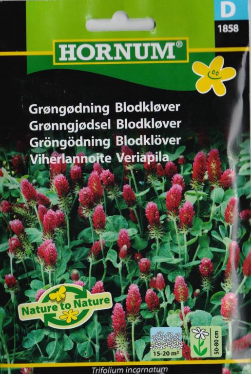 Grøngødning Blodkløver