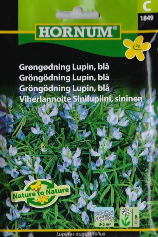 Grøngødning Lupin, blå