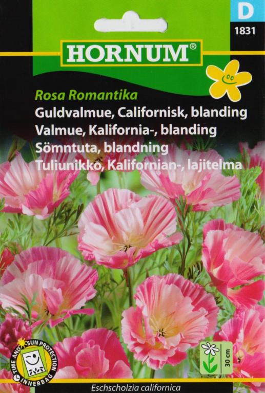 Guldvalmue, Californisk, blanding, Rosa