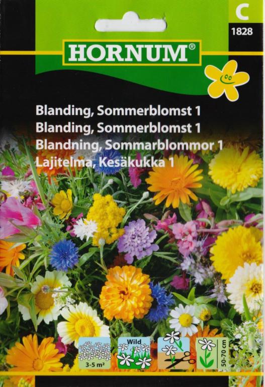 Blanding, Sommerblomst 1
