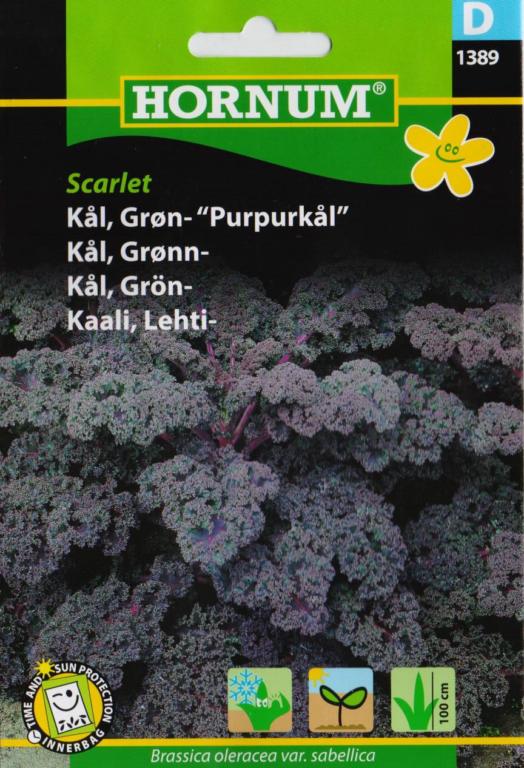 Kål, Grøn- Purpurkål, Scarlet