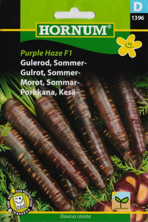 Gulerod, Sommergulerod, Purple Haze F1