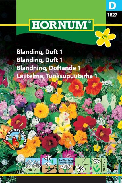 Blanding, Duft 1