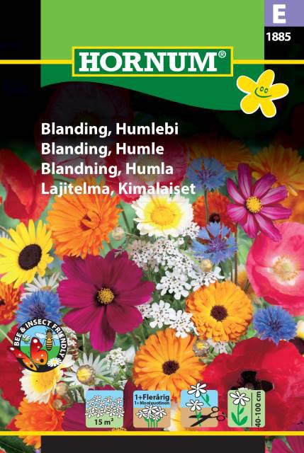 Blanding, Humlebi