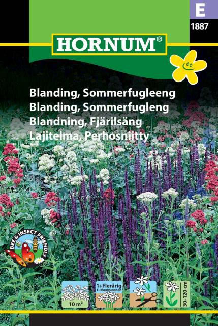 Blanding, Sommerfugleeng