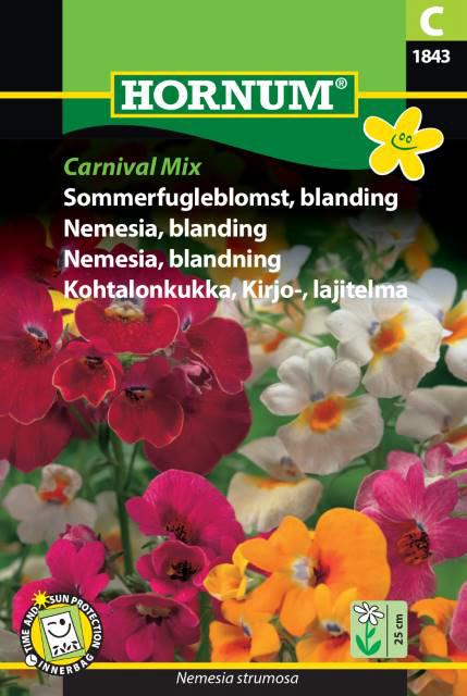 Sommerfugleblomst, blanding, Carnival Mi