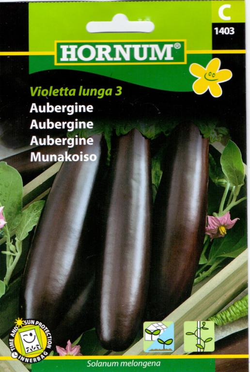 Aubergine, Violetta lunga 3