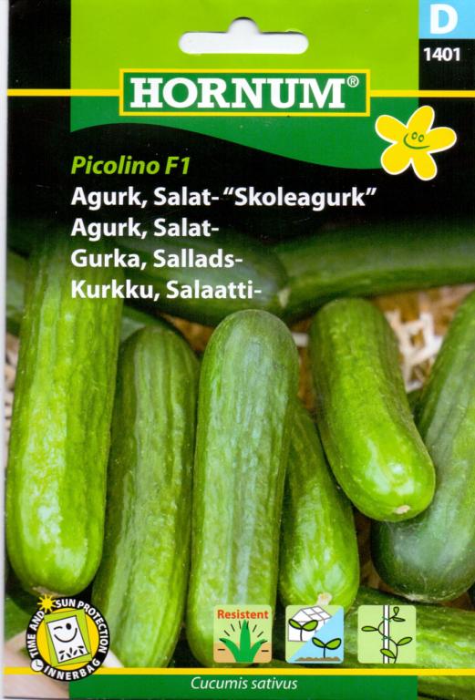 Agurk, Salatagurk, Skoleagurk, Picolino