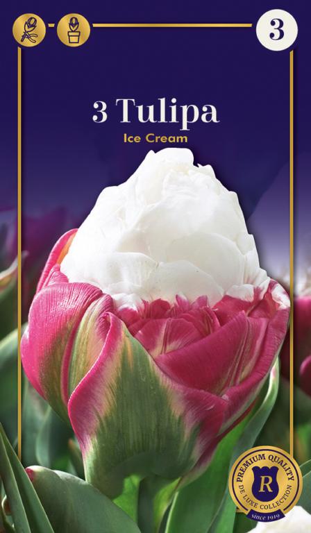 TULIPA ICE CREAM