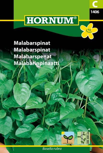 Malabarspinat