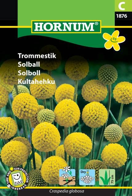 Trommestik,