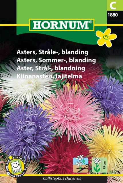 Asters, Stråle-, blanding,