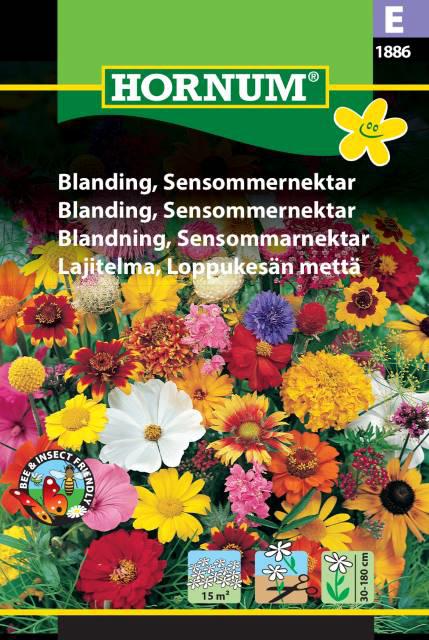 Blanding, Sensommernektar