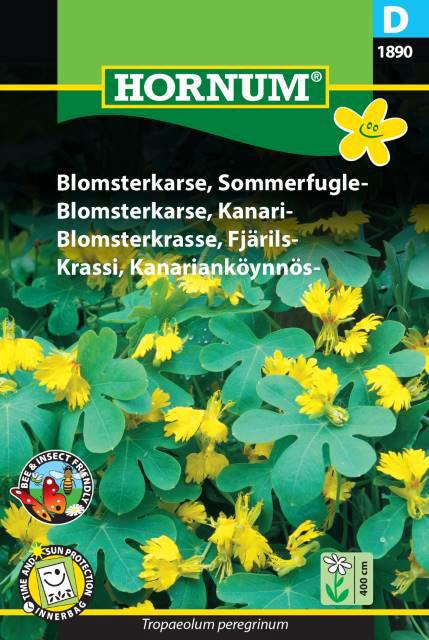 Blomsterkarse, Sommerfugle-,