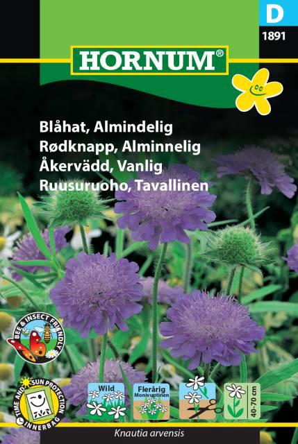 Blåhat, Almindelig
