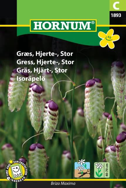 Græs, Hjerte-, Stor,