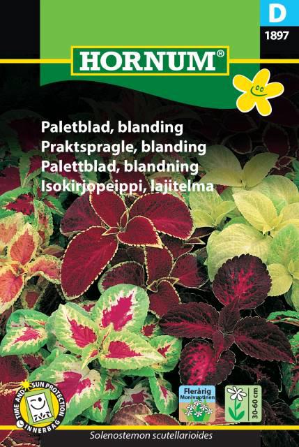 Paletblad, blanding
