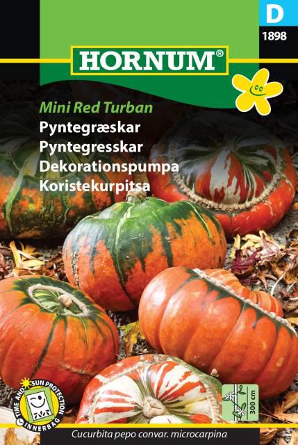 Pyntegræskar, blanding, Mini Red Turban