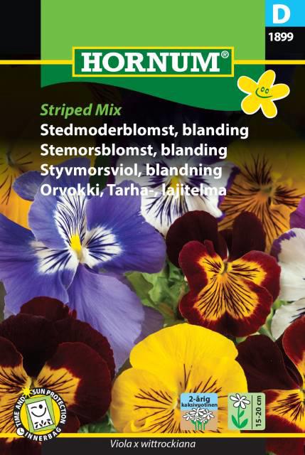 Stedmoderblomst, blanding, Striped Mix